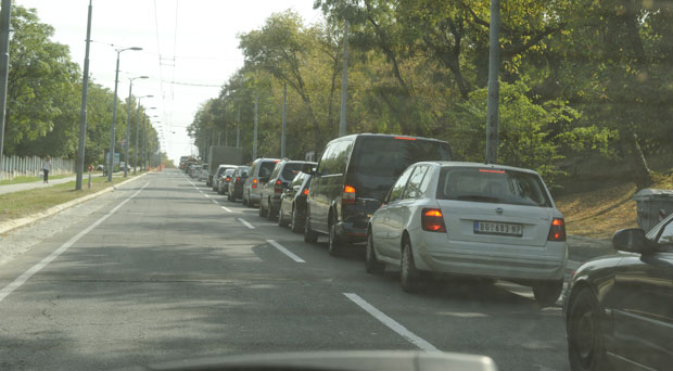 Путари вредни, застоји свуда